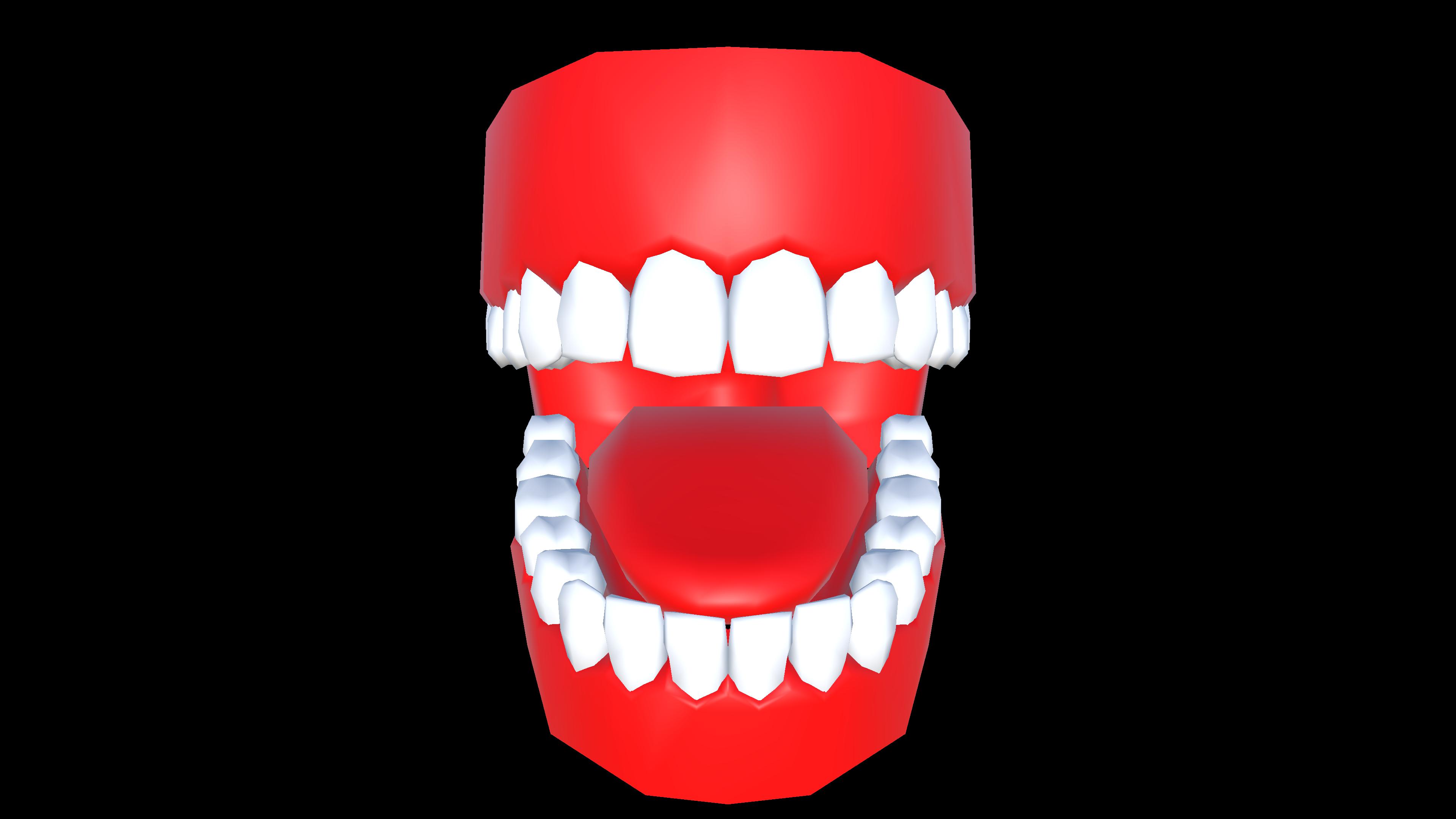 Arrangement of teeth and different type of teeth