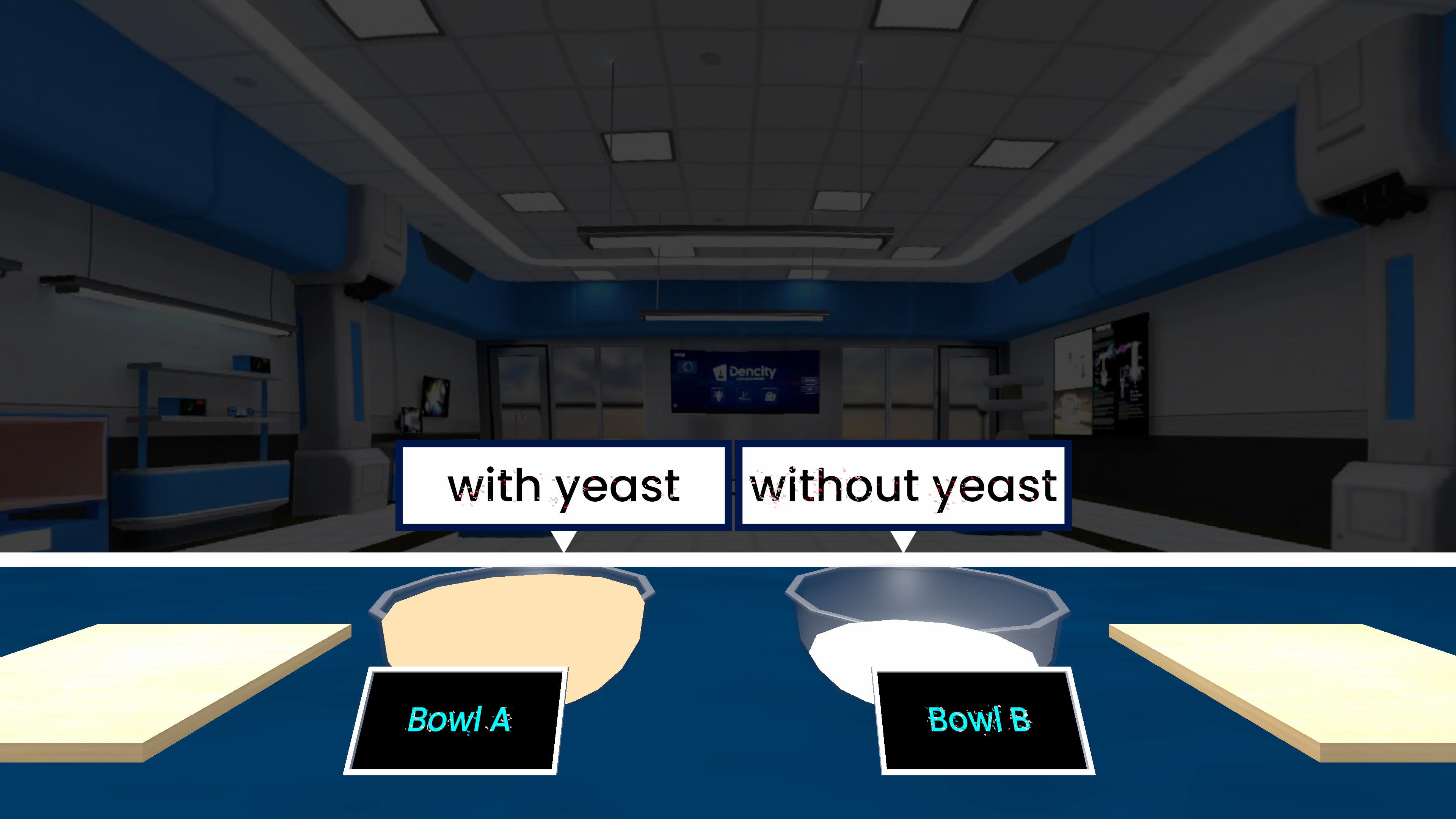 Effect of Yeast on Dough Rising